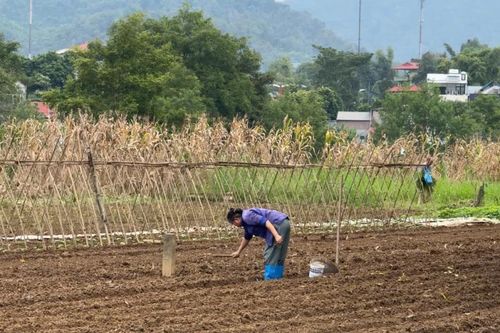 Sôi động khí thế lao động, sản xuất đầu năm mới