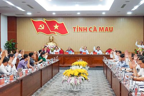 Tỉnh ủy Cà Mau thông qua Chương trình hành động thực hiện Nghị quyết Đại hội XIV của Đảng