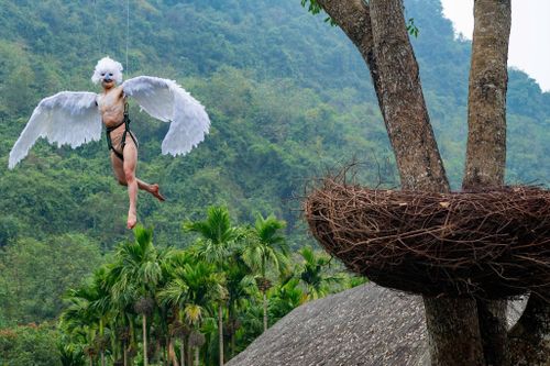Màn múa chim non 'độc lạ' gây chú ý ở khu du lịch Ninh Bình
