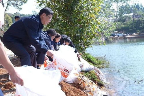 Bổ sung 5.000 cá giống cho hồ Đăk Ke, tạo điểm nhấn sinh thái Măng Đen