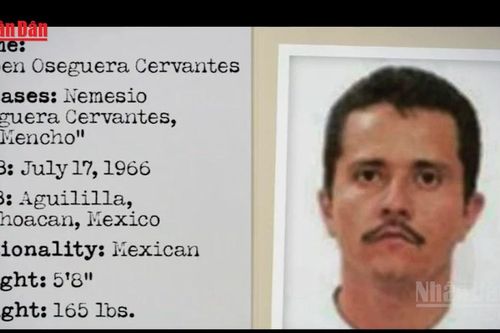 Mexico điều 2.000 binh sĩ tới bang Jalisco sau cái chết của trùm ma túy