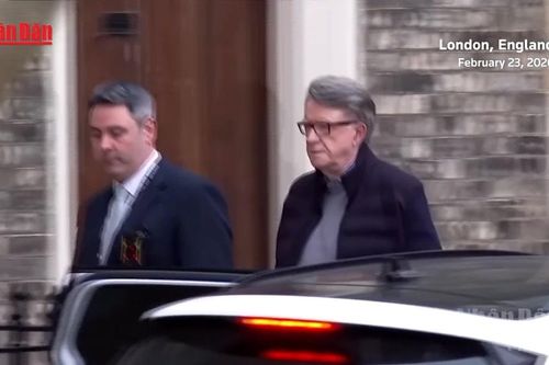 Cựu Đại sứ Anh tại Mỹ P. Mandelson bị bắt vì bê bối Epstein