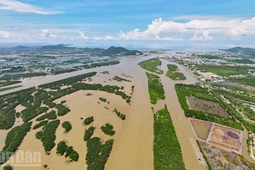 An Giang cưỡng chế hành vi chiếm dụng đất công tại đầm Đông Hồ