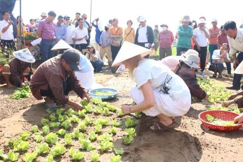 Khai mạc Lễ hội Cầu Bông làng rau Trà Quế năm Bính Ngọ 2026
