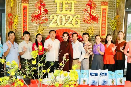 Nông nghiệp đô thị TPHCM hướng tới cây, hoa, cá cảnh