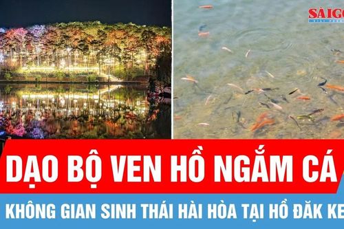 Quảng Ngãi: Thả 5.000 con cá xuống hồ Đăk Ke