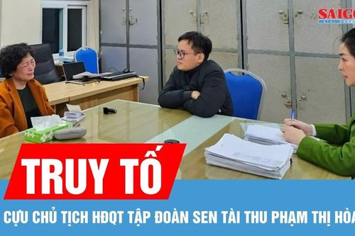 Truy tố cựu Chủ tịch HĐQT Tập đoàn Sen Tài Thu Phạm Thị Hòa