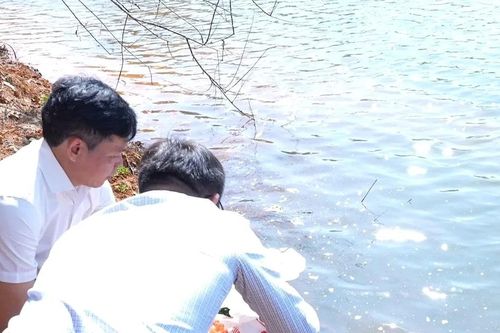 Quảng Ngãi: Thả 5.000 con cá xuống hồ Đăk Ke