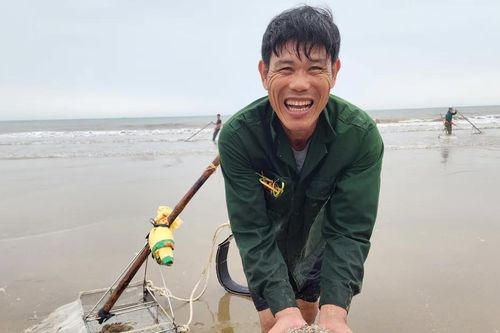 Ốc tép dạt vào bờ biển, người dân đua nhau cào bán cho thương lái