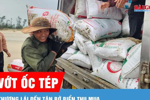 Đổ xô ra biển vớt ốc tép
