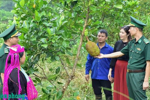 Bộ đội Biên phòng tỉnh Quảng Ninh-điểm sáng trong phong trào thi đua Quyết thắng