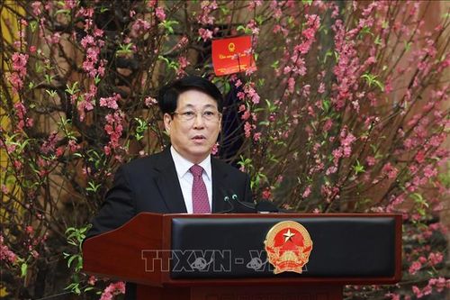 Văn phòng Chủ tịch nước: Vui xuân mới nhưng không quên nhiệm vụ