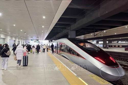 Đường sắt Trung Quốc phục vụ hơn 120 triệu lượt khách trong Tết Nguyên đán