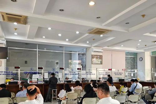 Ngành NN-MT đóng góp tích cực cho sự phát triển chung của TPHCM