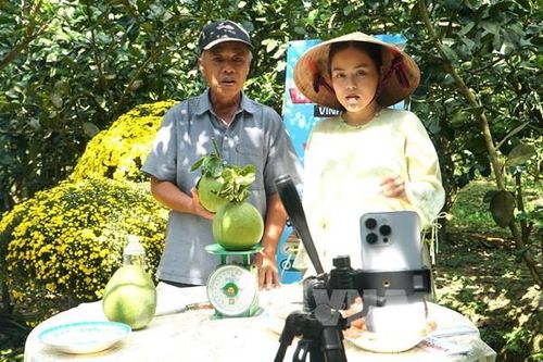 Bán nông sản online, Vĩnh Long mở thêm cửa thị trường