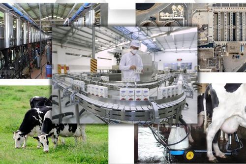 Phấn đấu đến năm 2030, tăng trưởng ngành sữa bình quân đạt 12 - 14%/năm