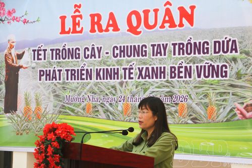 Mường Nhà ra quân trồng 100ha dứa, hướng tới phát triển kinh tế xanh, bền vững