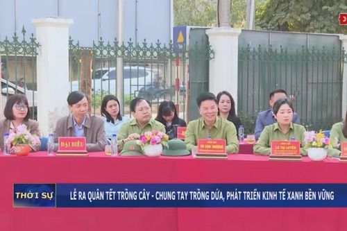 Lễ ra quân Tết trồng cây - Chung tay trồng dứa, phát triển kinh tế xanh bền vững