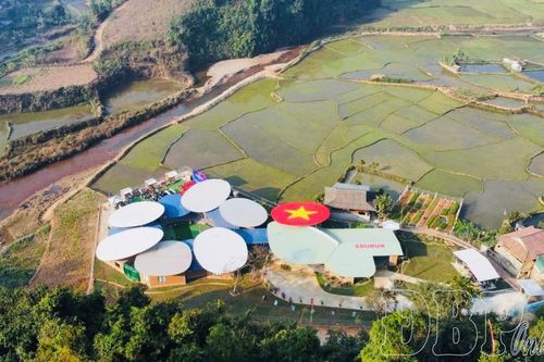 Những đốm lửa trong 'Hoa Rừng'