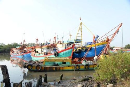 Ngư dân Đồng Tháp ra khơi đầu năm