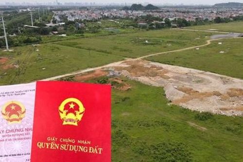 Sai nội dung trên Giấy chứng nhận: Đính chính hay thu hồi?