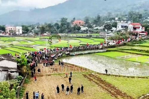 Lào Cai: Quan tâm bảo vệ môi trường mùa lễ hội xuân