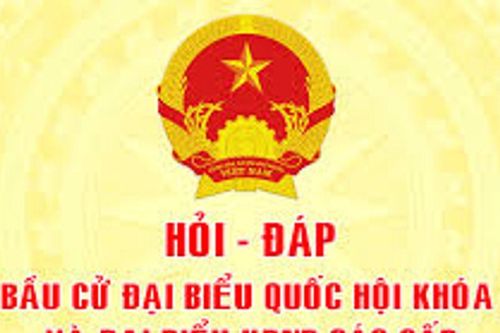Đơn vị bầu cử là gì? Có bao nhiêu loại đơn vị bầu cử trong cuộc bầu cử đại biểu Quốc hội và bầu cử đại biểu Hội đồng nhân dân các cấp?