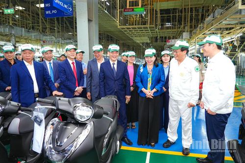 Đồng chí Phó Bí thư Thường trực Tỉnh ủy Đinh Thị Lụa kiểm tra, động viên sản xuất đầu Xuân