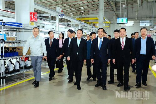 Đồng chí Bí thư Tỉnh ủy Đặng Xuân Phong thăm, kiểm tra, động viên sản xuất đầu Xuân Bính Ngọ