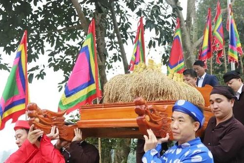 Rước 'vía lúa' mong vụ mùa bội thu