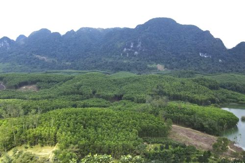 'Nghệ nhân' nuôi ong