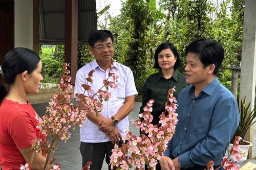 Đồng chí Phó Chủ tịch UBND tỉnh thăm, kiểm tra hoạt động sản xuất, kinh doanh đầu năm