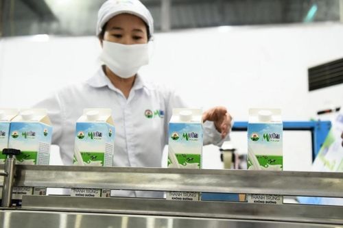 Mộc Châu Milk còn hơn 633 tỷ đồng vốn huy động chưa sử dụng