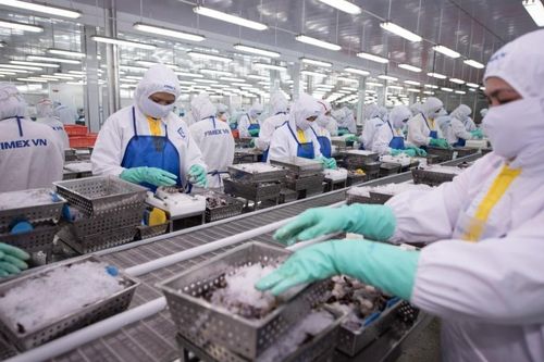 Sao Ta có tổng giám đốc mới, cổ phiếu tăng trần 2 phiên