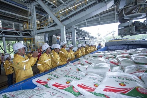 Phân bón Cà Mau xuất khẩu lô hàng đầu tiên sang Mỹ
