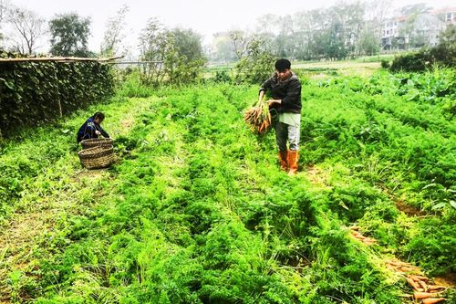 Cuộc sống mới trên các vùng đất đau thương