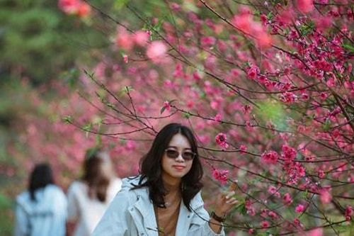 Du xuân ở Măng Đen