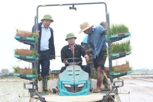 Lãnh đạo xã Tây Phương kiểm tra tình hình sản xuất lúa vụ xuân