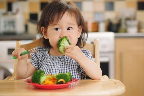 Thực phẩm giàu sắt cho trẻ