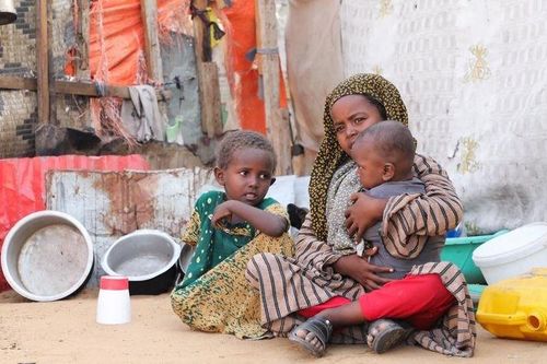 Khoảng 6,5 triệu người Somalia đối mặt nguy cơ đói nghiêm trọng