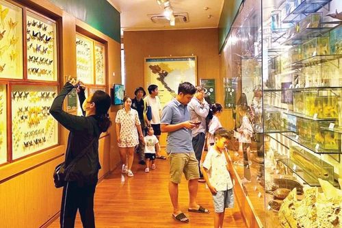 Tiềm năng du lịch từ các bảo tàng thiên nhiên