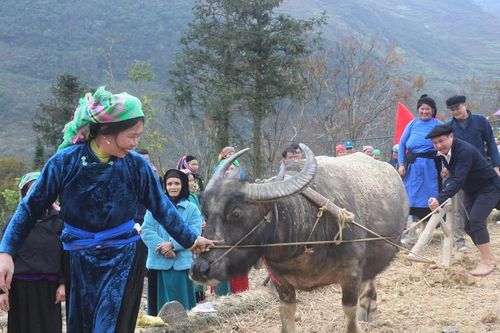 Rộn ràng lễ xuống đồng nơi địa đầu Tổ quốc