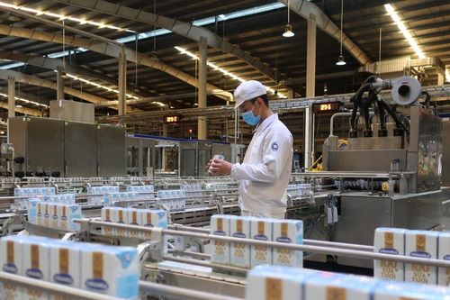Xanh hóa ngành công nghiệp chế biến sữa bằng công nghệ tiên tiến