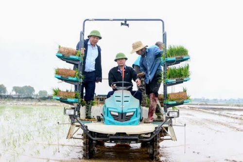 Bí thư, Chủ tịch xã Tây Phương xuống đồng vận hành máy cấy, mừng tuổi bà con nông dân