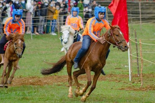 Vó ngựa mùa xuân ở gò Thì Thùng