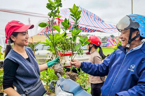 Trắng đêm bán 'lộc xanh' ở chợ Viềng Ninh Bình, nông dân thu chục triệu đồng
