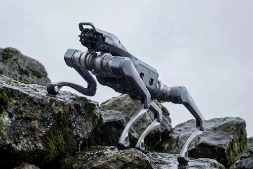 Trung Quốc trình làng chó robot tích hợp AI, cõng 65kg, chạy trên mọi địa hình