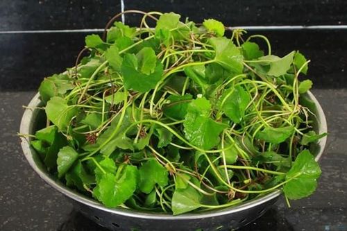 Những loại rau nên được ưu tiên để giải độc gan sau Tết