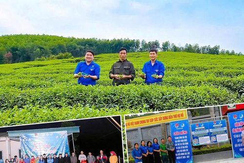 Sức trẻ Nghệ An trong nhịp Xuân mới