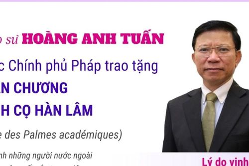 Giáo sư Hoàng Anh Tuấn nhận Huân chương Cành cọ Hàn lâm của Pháp